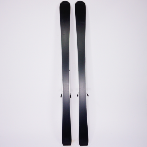 Fischer Master 168cm - Afbeelding 2